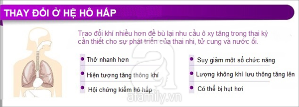 Thay đổi của cơ thể khi mang thai 3